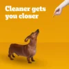 Dentastix Original Flavor Dental Bone Treats For Toy/Small Dogs, 13.97 Oz Pack - Image 3